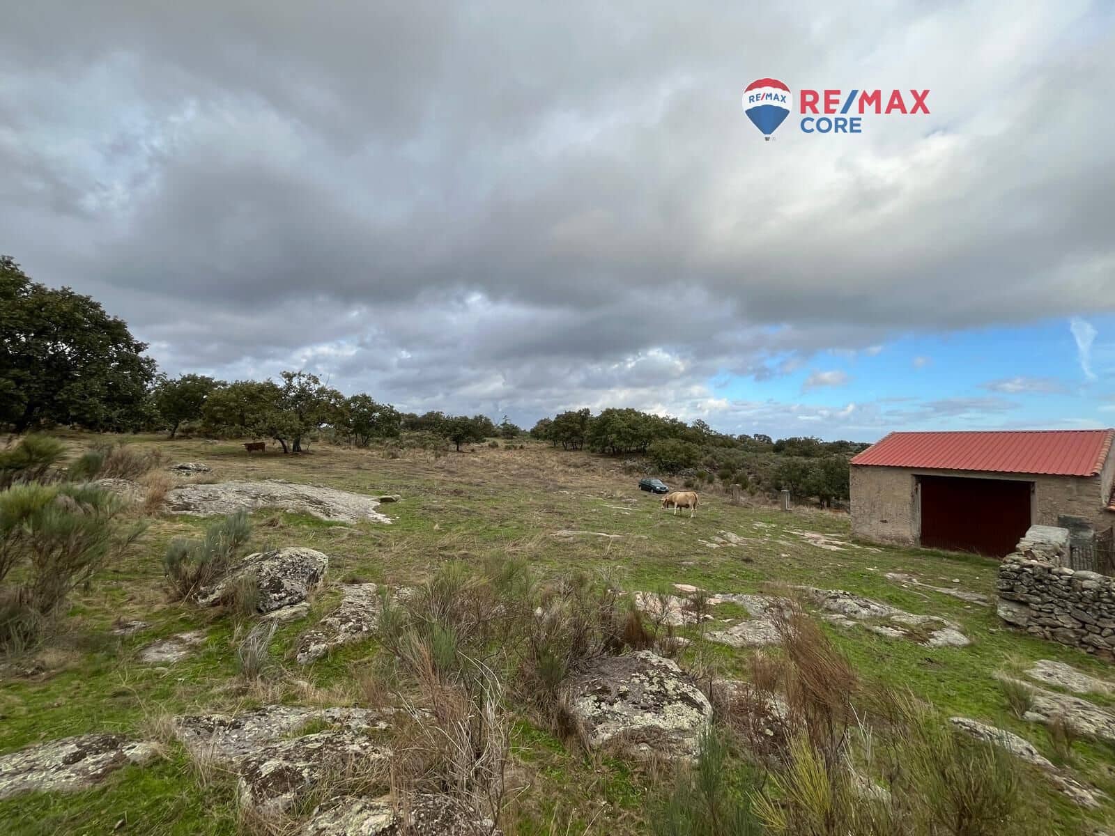 Ubebygd land til salgs i Valencia de Alcantara - € 192 000 (Ref: 9401047)