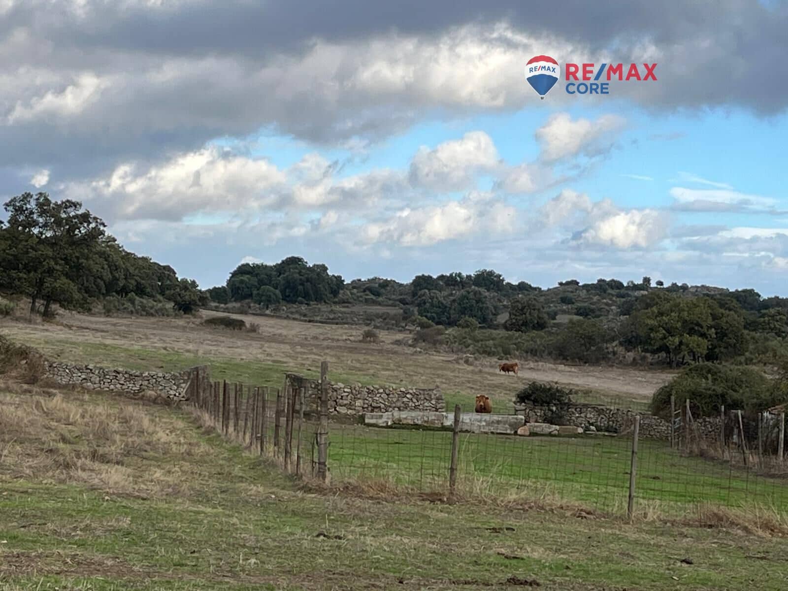 Ubebygd land til salgs i Valencia de Alcantara - € 192 000 (Ref: 9401047)