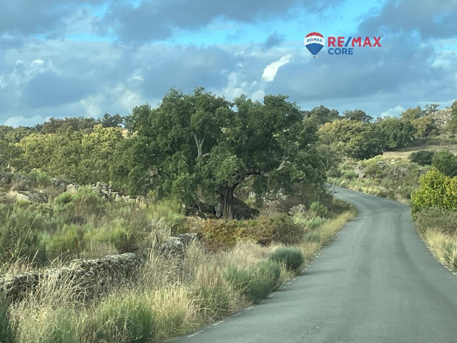 Ubebygd land til salgs i Valencia de Alcantara - € 192 000 (Ref: 9401047)