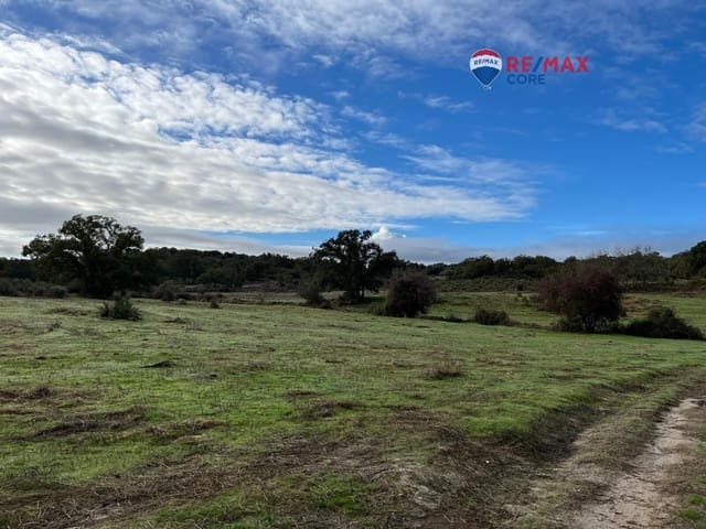 Undeveloped Land for sale in Valencia de Alcántara - € 192,000 (Ref: 9401047)