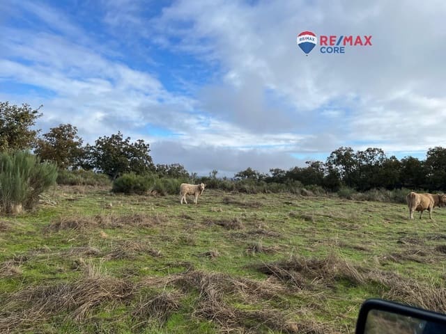 Undeveloped Land for sale in Valencia de Alcántara - € 192,000 (Ref: 9401047)