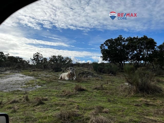 Undeveloped Land for sale in Valencia de Alcántara - € 192,000 (Ref: 9401047)