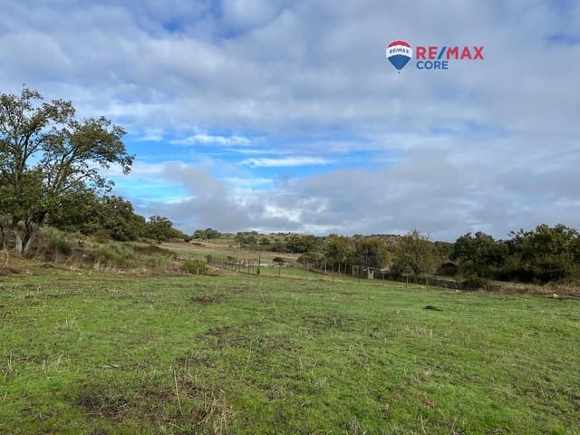 Undeveloped Land for sale in Valencia de Alcántara - € 192,000 (Ref: 9401047)
