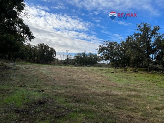 Undeveloped Land for sale in Valencia de Alcántara - € 192,000 (Ref: 9401047)