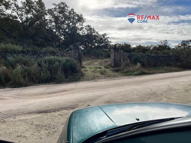 Undeveloped Land for sale in Valencia de Alcántara - € 192,000 (Ref: 9401047)