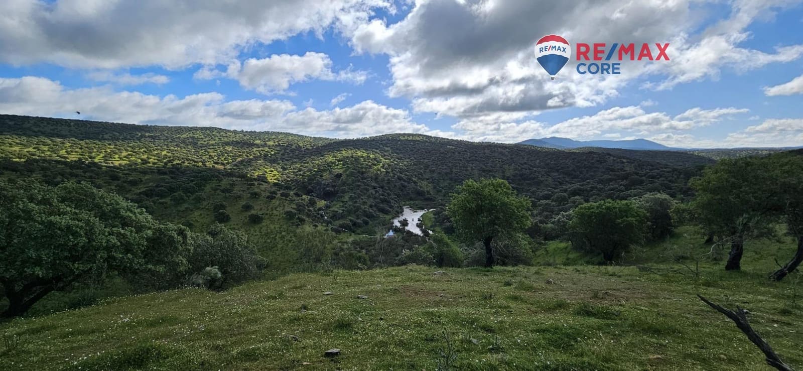 Teren niezagospodarowany na sprzedaż w Siruela - 125 000 € (Ref: 9437819)