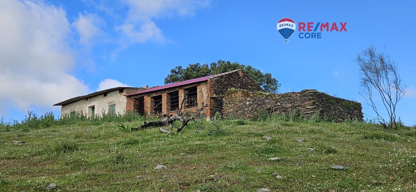 Teren niezagospodarowany na sprzedaż w Siruela - 125 000 € (Ref: 9437819)