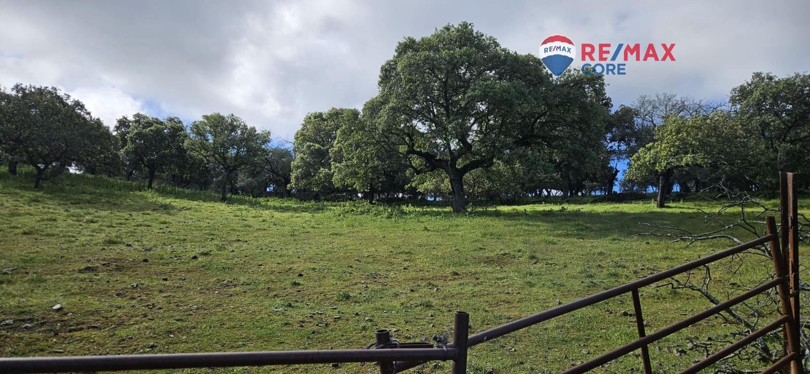 Teren niezagospodarowany na sprzedaż w Siruela - 125 000 € (Ref: 9437819)