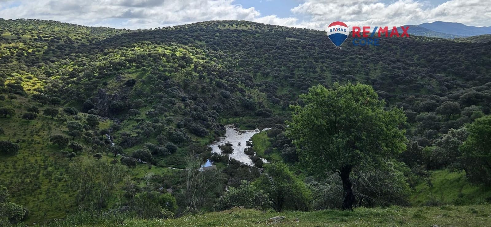 Teren niezagospodarowany na sprzedaż w Siruela - 125 000 € (Ref: 9437819)