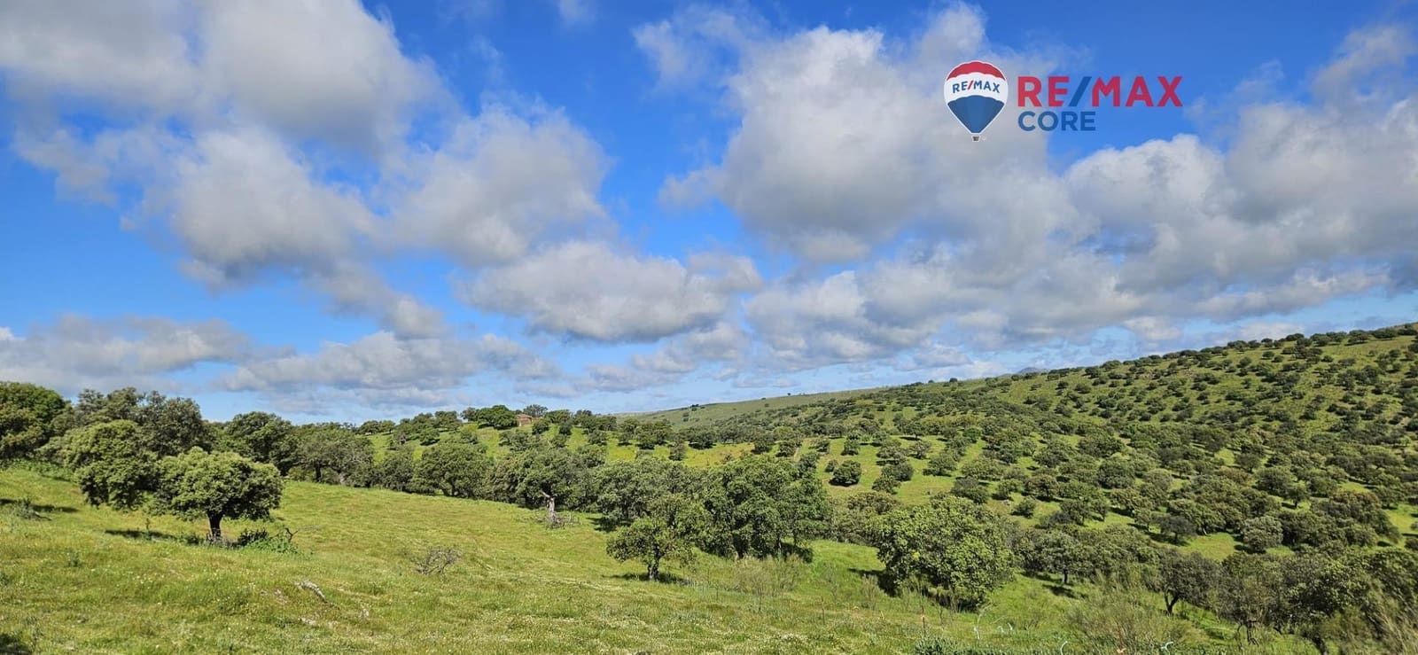 Teren niezagospodarowany na sprzedaż w Siruela - 125 000 € (Ref: 9437819)