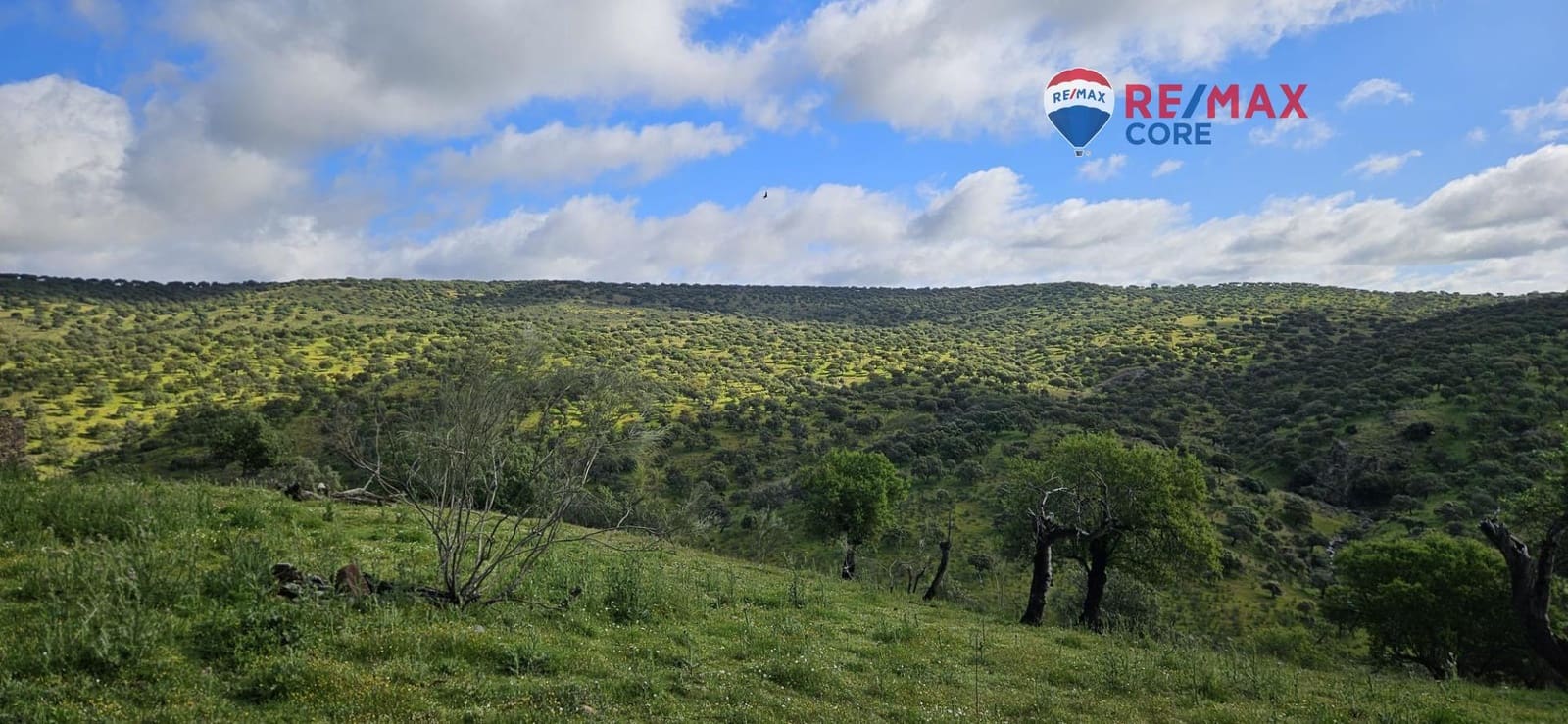 Teren niezagospodarowany na sprzedaż w Siruela - 125 000 € (Ref: 9437819)