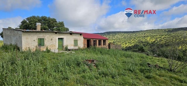 Teren niezagospodarowany na sprzedaż w Siruela - 125 000 € (Ref: 9437819)