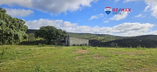 Teren niezagospodarowany na sprzedaż w Siruela - 125 000 € (Ref: 9437819)