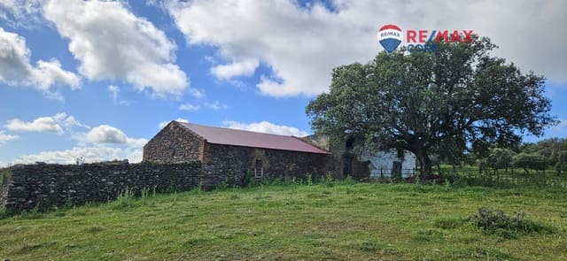 Teren niezagospodarowany na sprzedaż w Siruela - 125 000 € (Ref: 9437819)