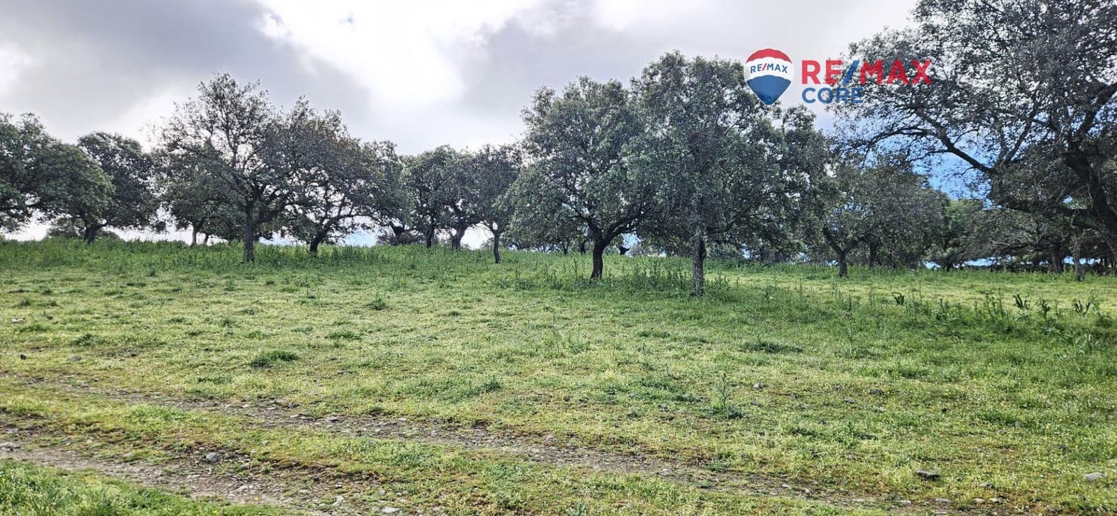 Teren niezagospodarowany na sprzedaż w Siruela - 125 000 € (Ref: 9437819)