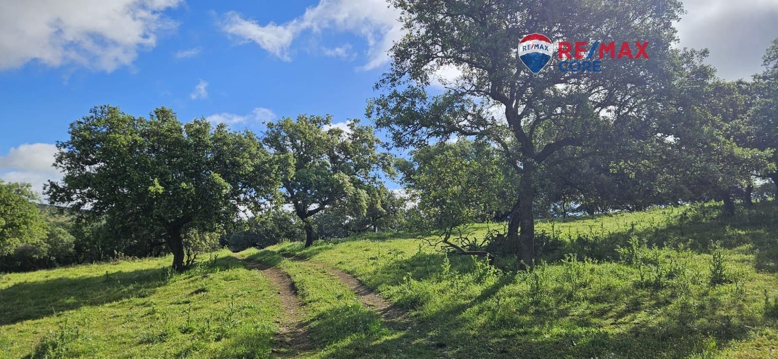 Teren niezagospodarowany na sprzedaż w Siruela - 125 000 € (Ref: 9437819)