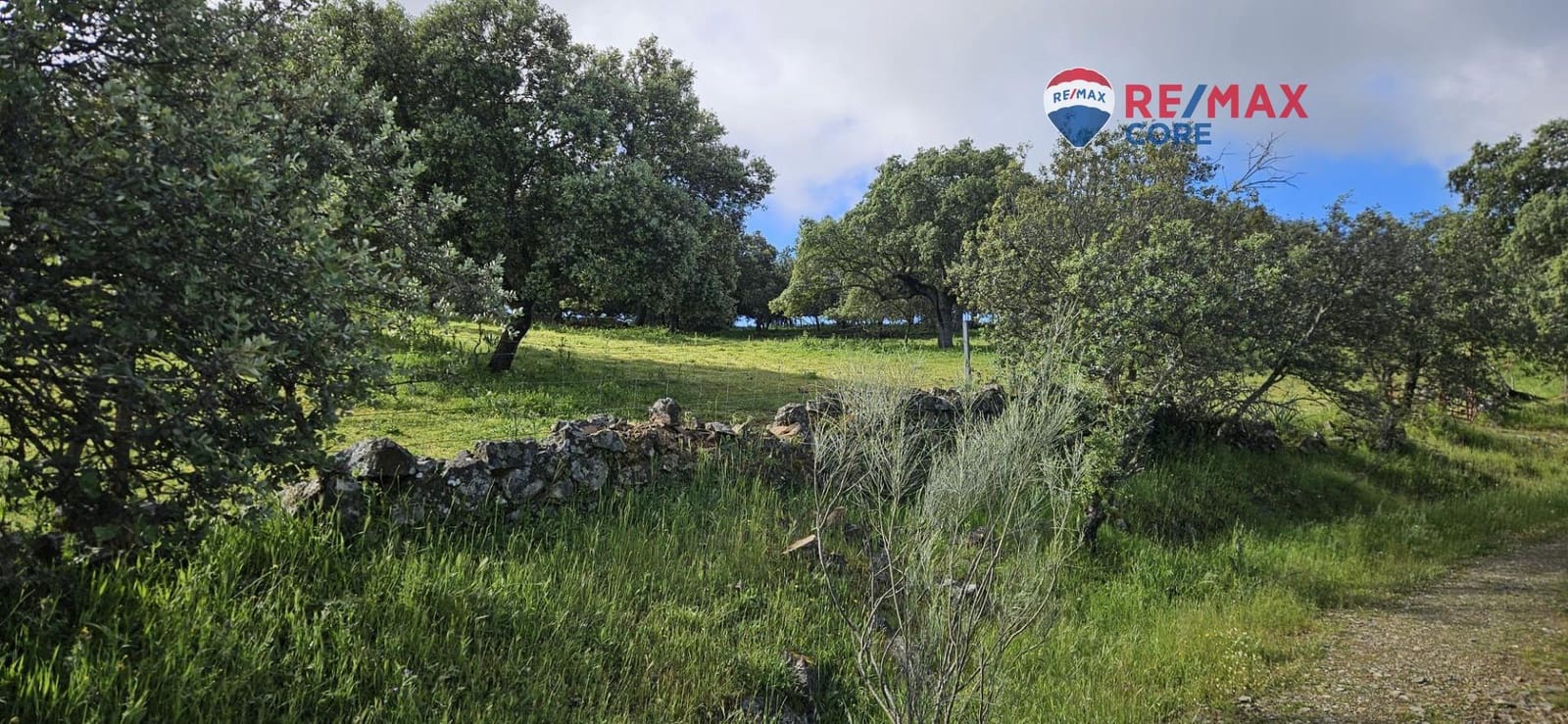 Teren niezagospodarowany na sprzedaż w Siruela - 125 000 € (Ref: 9437819)