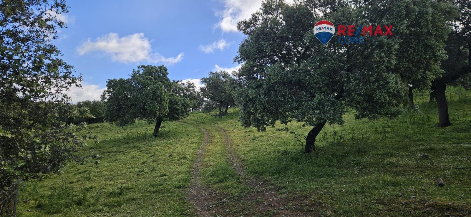 Teren niezagospodarowany na sprzedaż w Siruela - 125 000 € (Ref: 9437819)