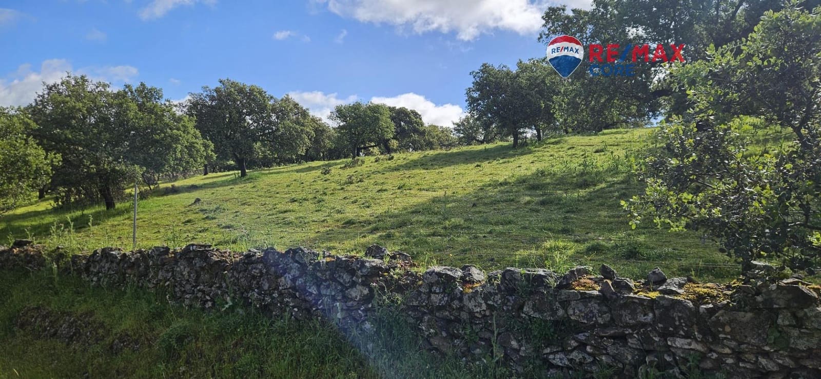 Teren niezagospodarowany na sprzedaż w Siruela - 125 000 € (Ref: 9437819)