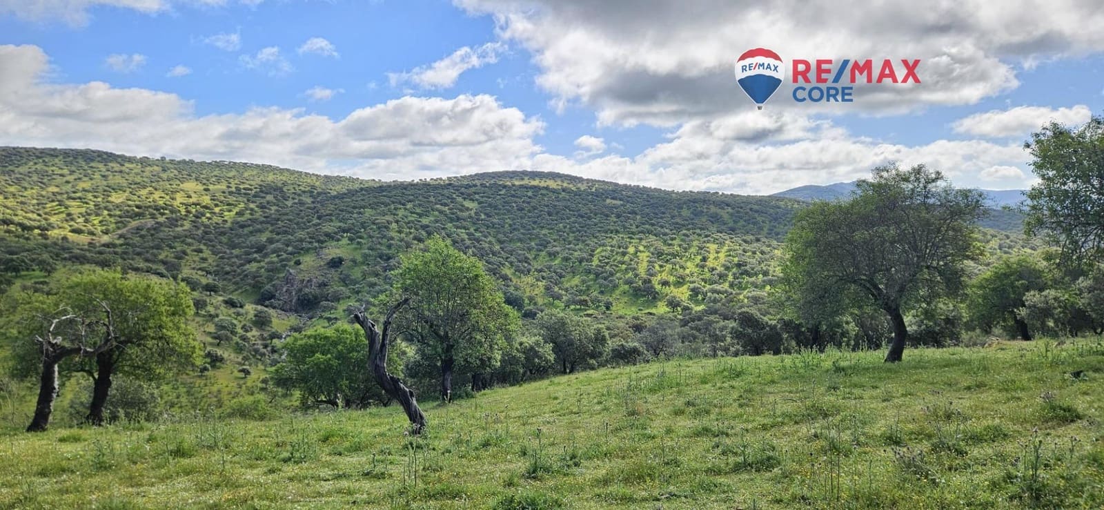 Teren niezagospodarowany na sprzedaż w Siruela - 125 000 € (Ref: 9437819)