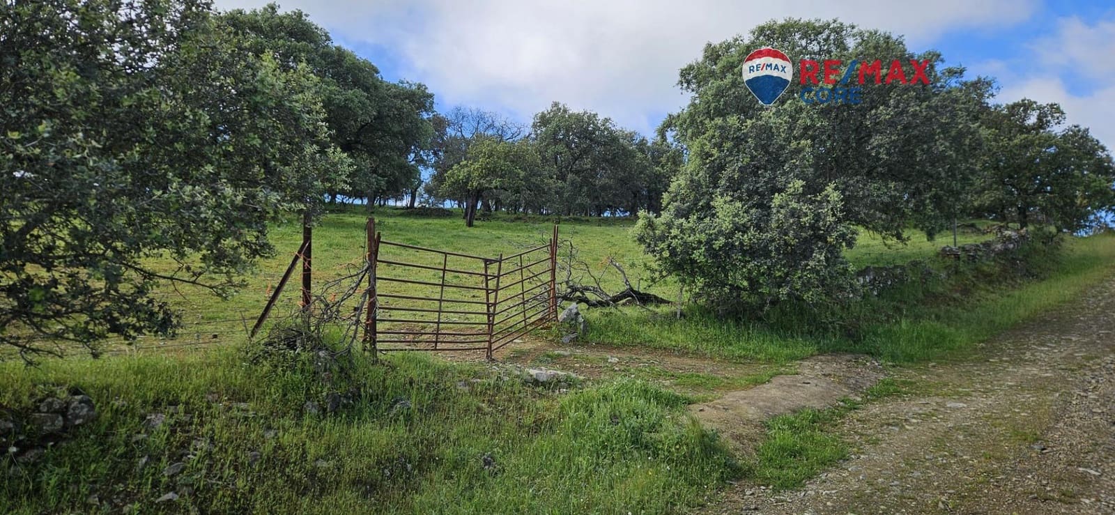 Teren niezagospodarowany na sprzedaż w Siruela - 125 000 € (Ref: 9437819)