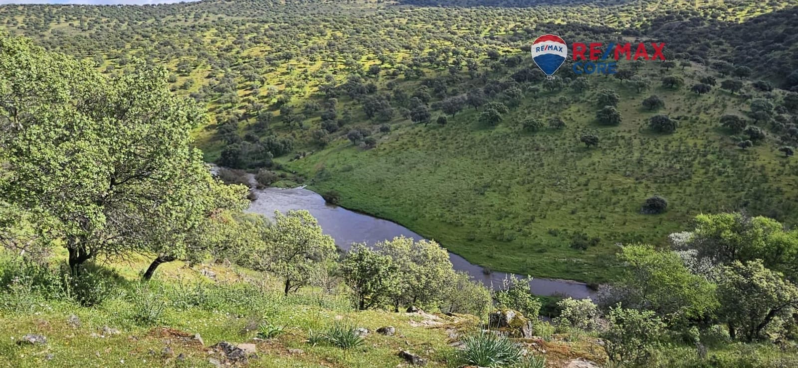 Teren niezagospodarowany na sprzedaż w Siruela - 125 000 € (Ref: 9437819)