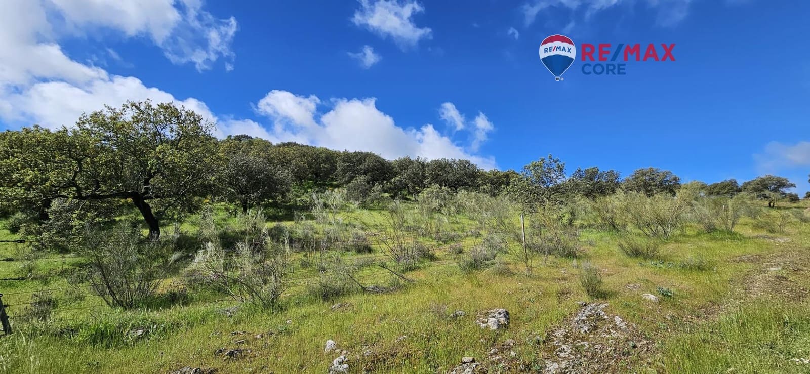Teren niezagospodarowany na sprzedaż w Siruela - 125 000 € (Ref: 9437819)