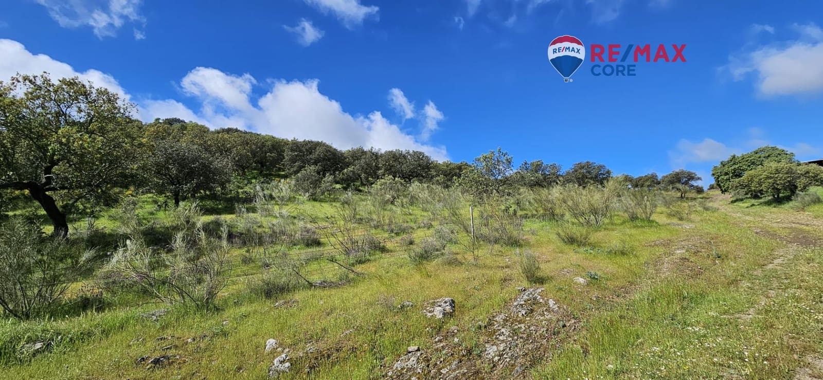 Teren niezagospodarowany na sprzedaż w Siruela - 125 000 € (Ref: 9437819)