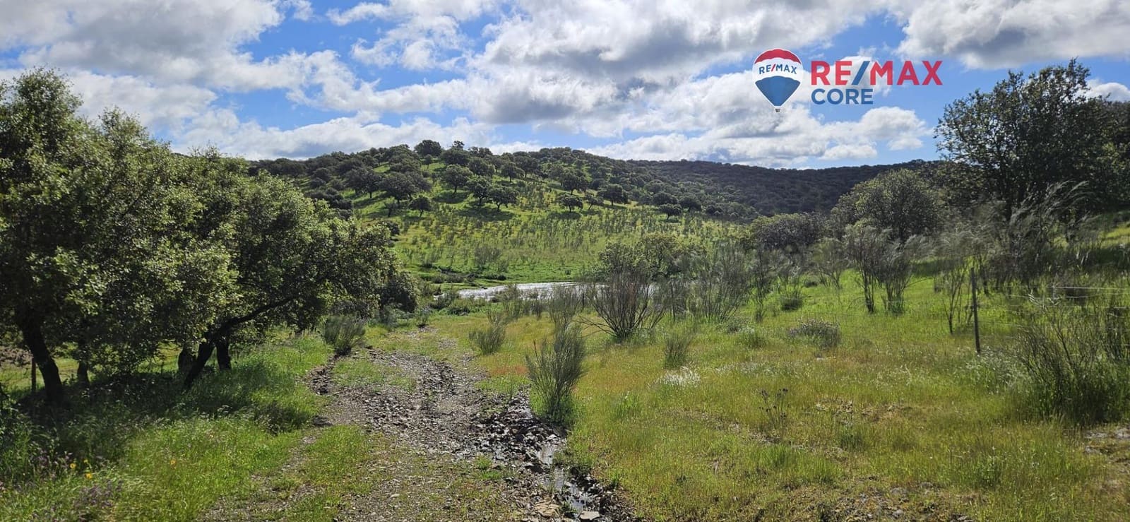 Teren niezagospodarowany na sprzedaż w Siruela - 125 000 € (Ref: 9437819)