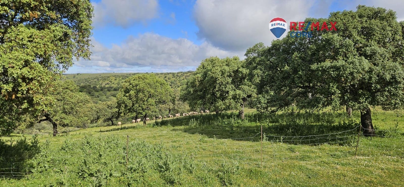 Teren niezagospodarowany na sprzedaż w Siruela - 125 000 € (Ref: 9437819)