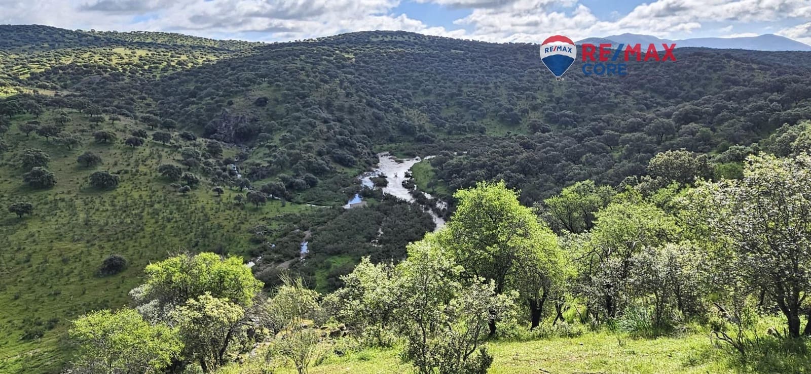 Teren niezagospodarowany na sprzedaż w Siruela - 125 000 € (Ref: 9437819)