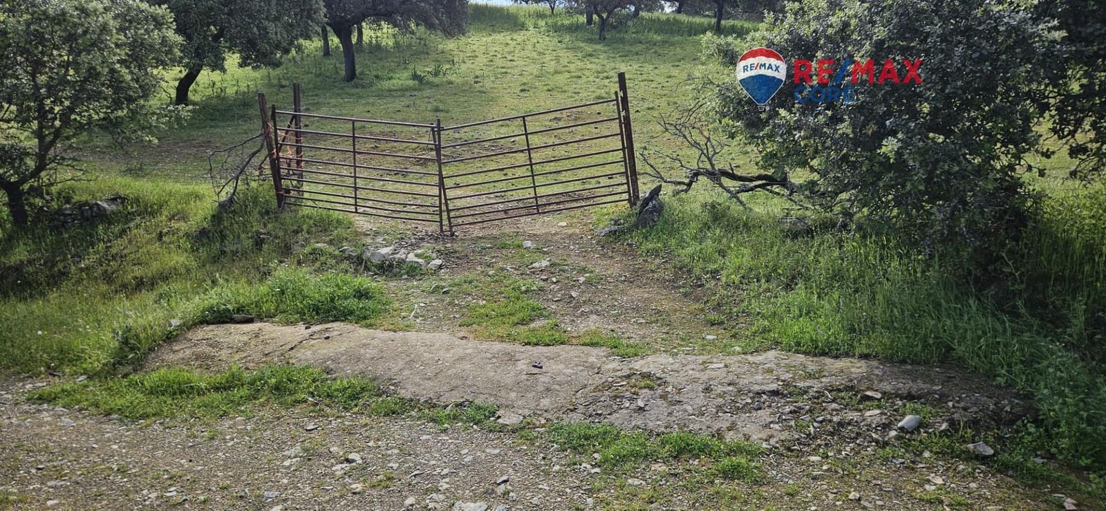 Teren niezagospodarowany na sprzedaż w Siruela - 125 000 € (Ref: 9437819)