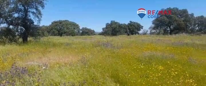 Terreno Non Edificato in vendita in Valverde de Merida - 49.000 € (Rif: 9440138)