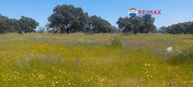 Rakentamaton maa myytävänä paikassa Valverde de Mérida - 49 000 € (Ref: 9440138)