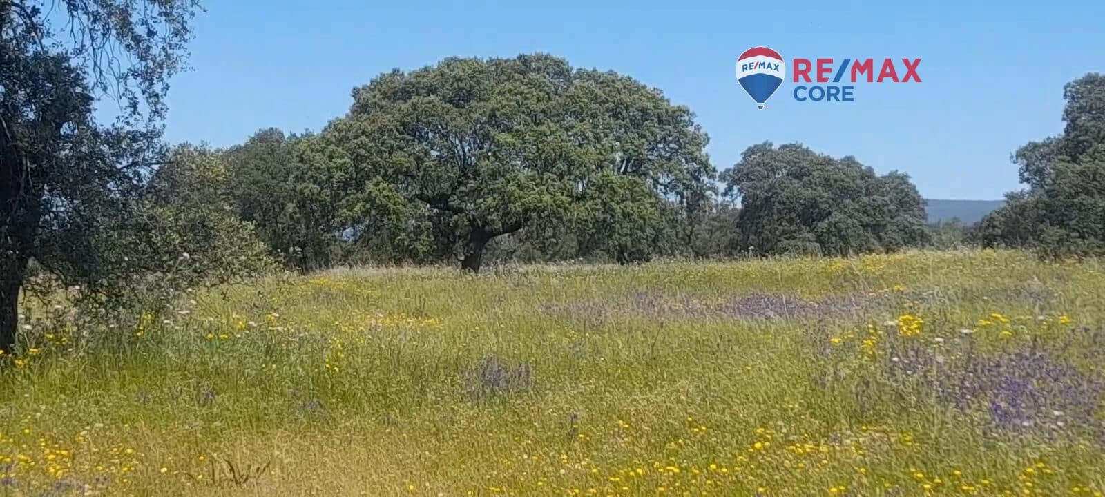 Terreno Non Edificato in vendita in Valverde de Merida - 49.000 € (Rif: 9440138)