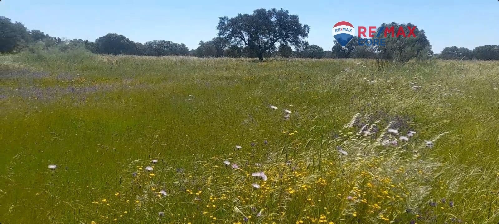 Terreno Non Edificato in vendita in Valverde de Merida - 49.000 € (Rif: 9440138)