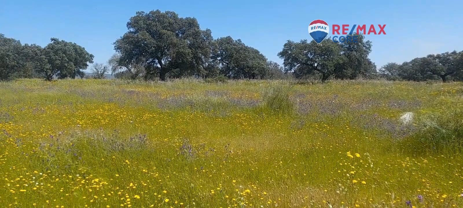 Terreno Non Edificato in vendita in Valverde de Merida - 49.000 € (Rif: 9440138)