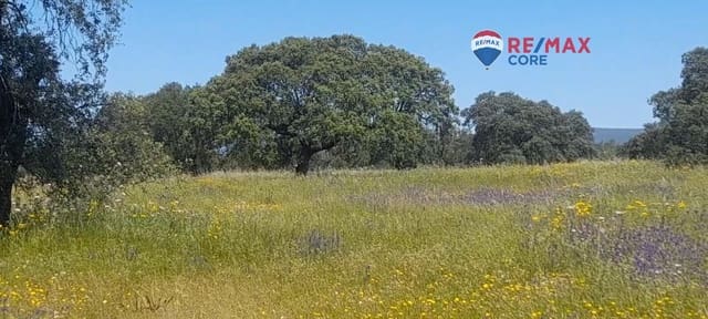 Rakentamaton maa myytävänä paikassa Valverde de Mérida - 49 000 € (Ref: 9440138)