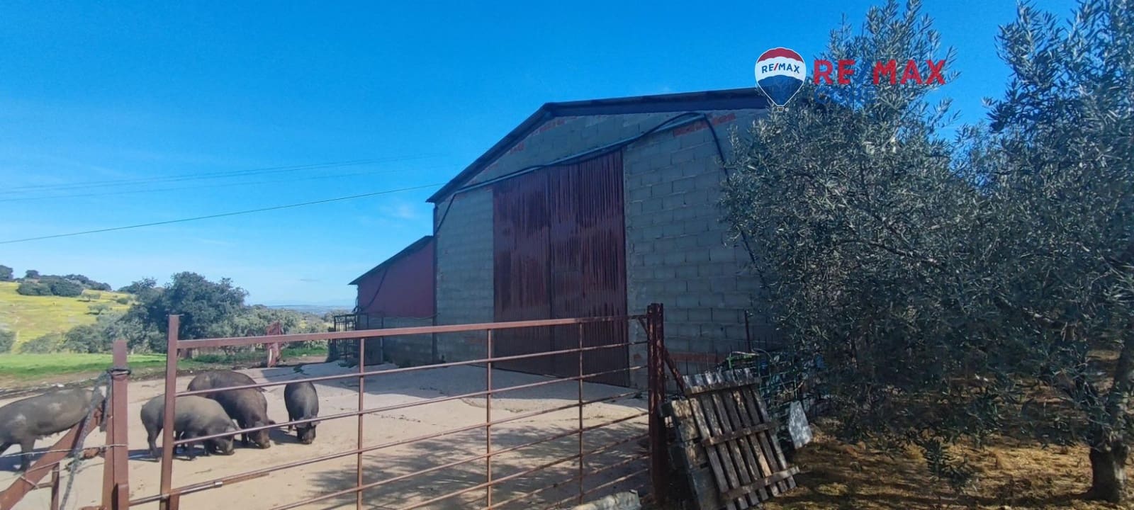 3 sypialnia Finka/Dom wiejski na sprzedaż w Zarza de Montanchez z basenem - 215 000 € (Ref: 9452782)