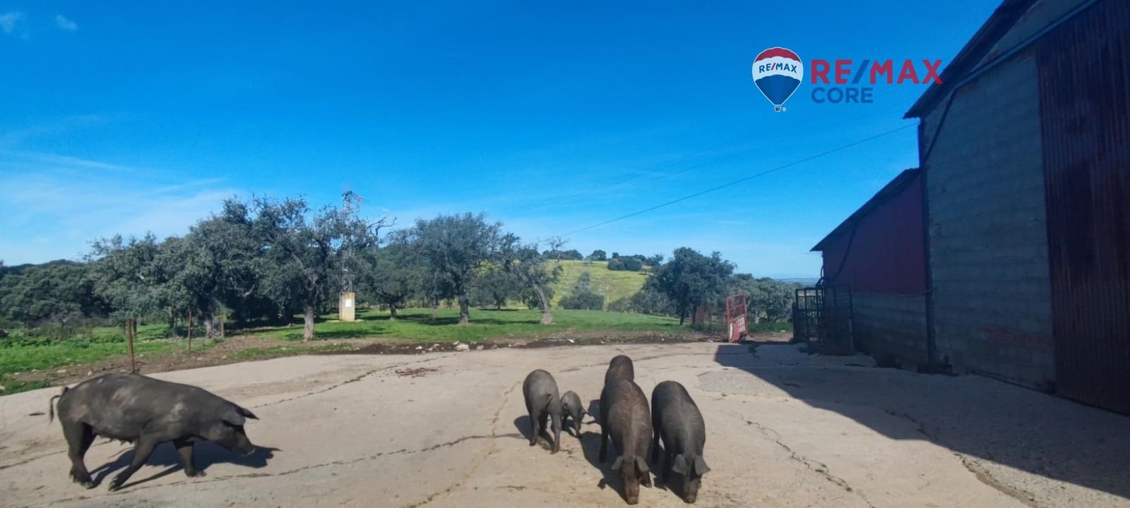 3 sypialnia Finka/Dom wiejski na sprzedaż w Zarza de Montanchez z basenem - 215 000 € (Ref: 9452782)