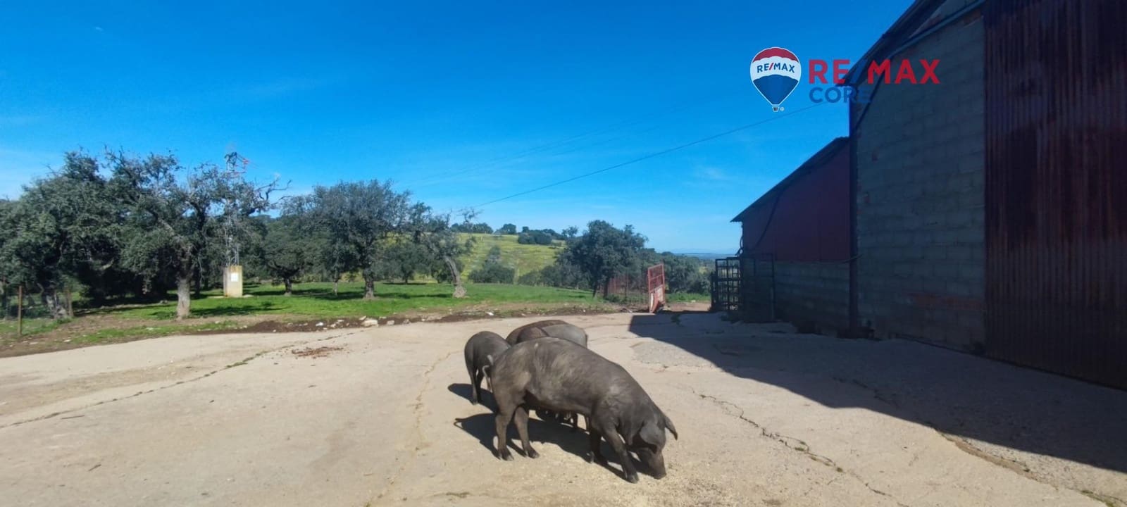 3 sypialnia Finka/Dom wiejski na sprzedaż w Zarza de Montanchez z basenem - 215 000 € (Ref: 9452782)