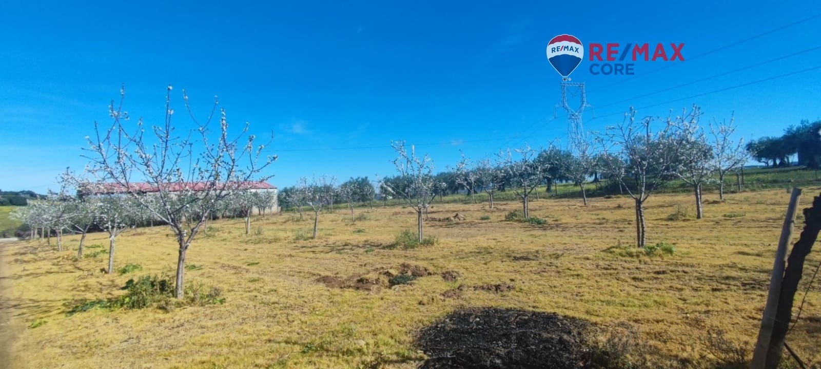 3 sypialnia Finka/Dom wiejski na sprzedaż w Zarza de Montanchez z basenem - 215 000 € (Ref: 9452782)