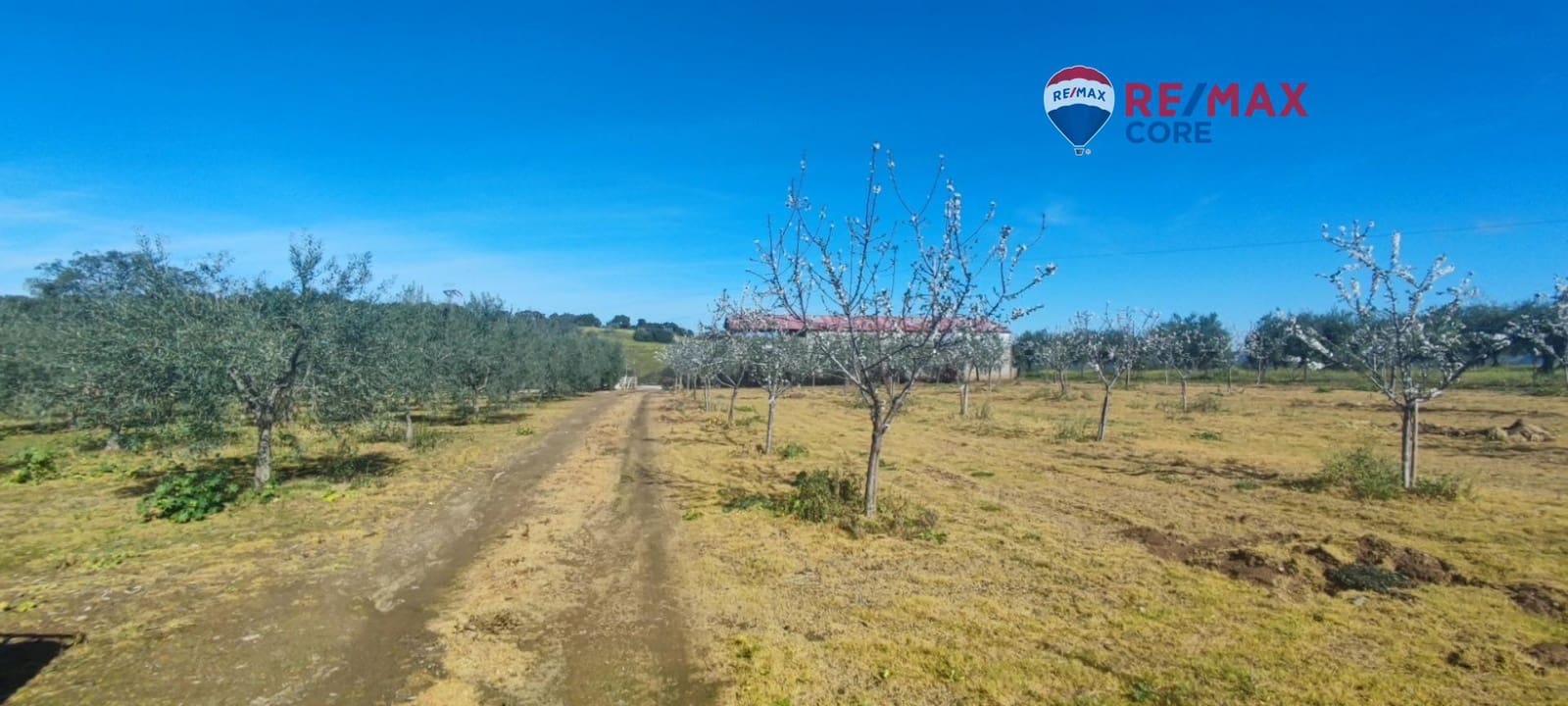 3 sypialnia Finka/Dom wiejski na sprzedaż w Zarza de Montanchez z basenem - 215 000 € (Ref: 9452782)