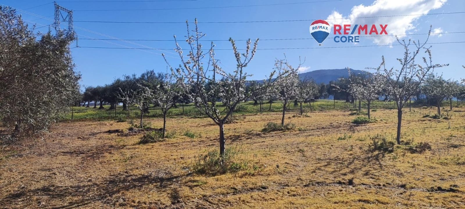 3 sypialnia Finka/Dom wiejski na sprzedaż w Zarza de Montanchez z basenem - 215 000 € (Ref: 9452782)