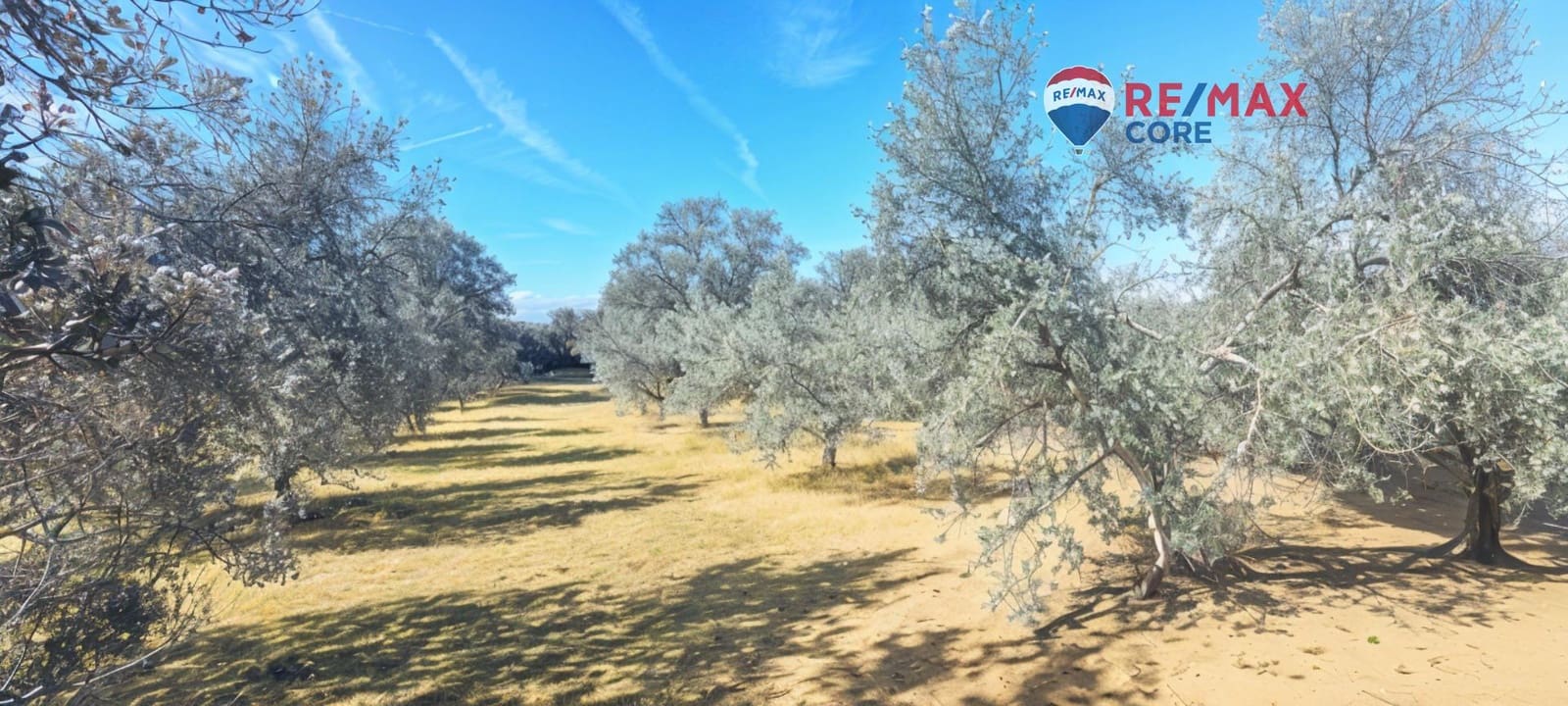 3 sypialnia Finka/Dom wiejski na sprzedaż w Zarza de Montanchez z basenem - 215 000 € (Ref: 9452782)