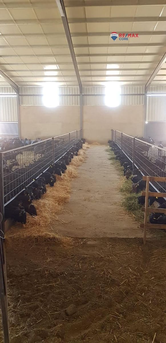 Terreno/Finca Rústica en Brozas en venta - 290.000 € (Ref: 9474198)