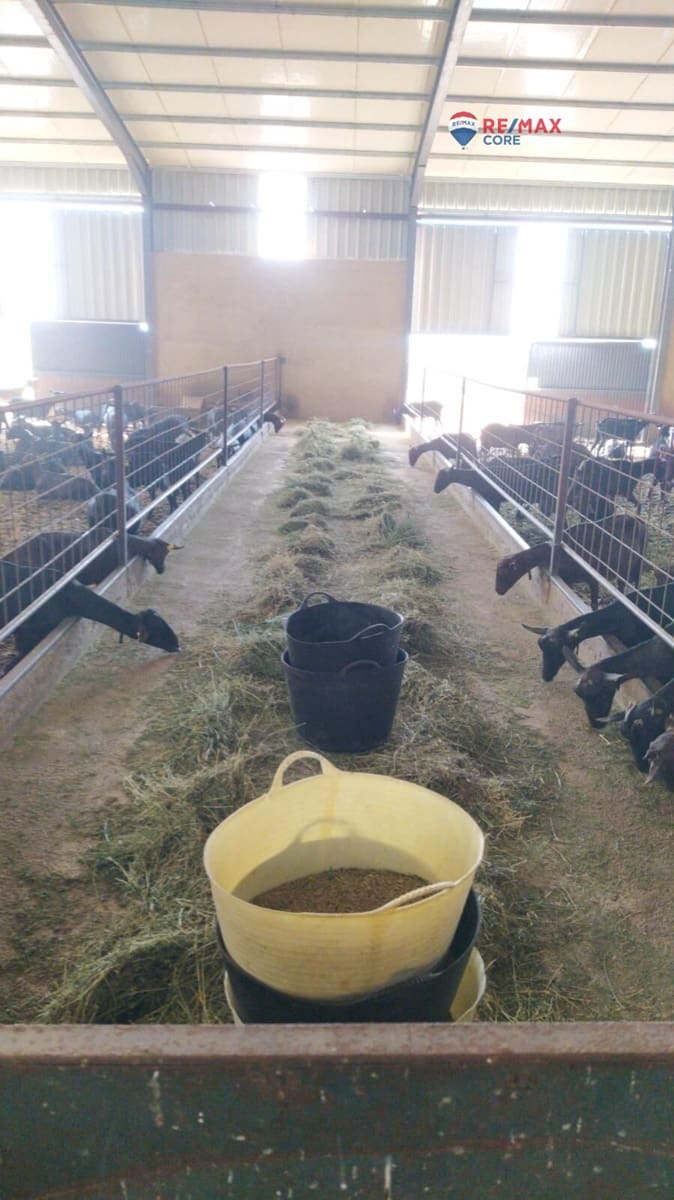 Terreno/Finca Rústica en Brozas en venta - 290.000 € (Ref: 9474198)