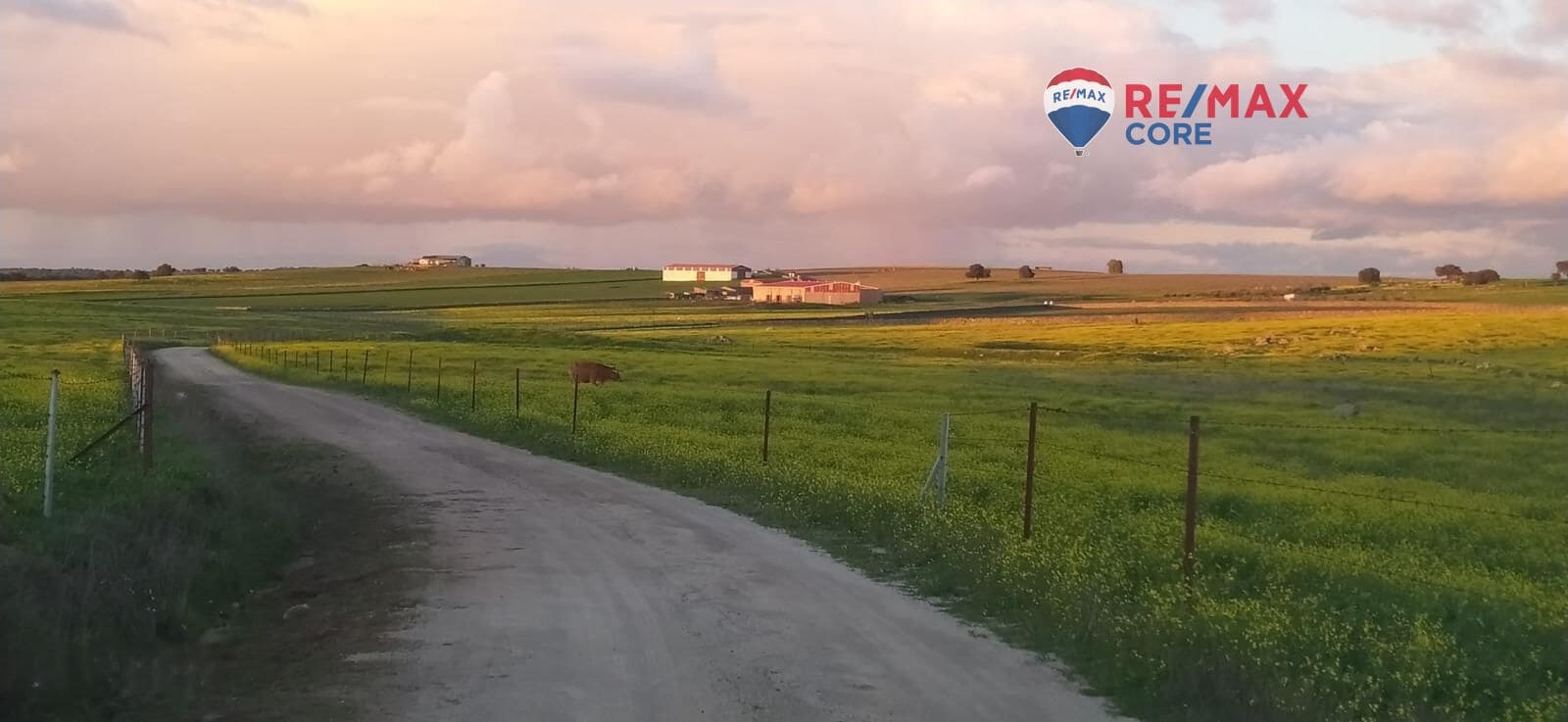 Terreno/Finca Rústica en Brozas en venta - 290.000 € (Ref: 9474198)