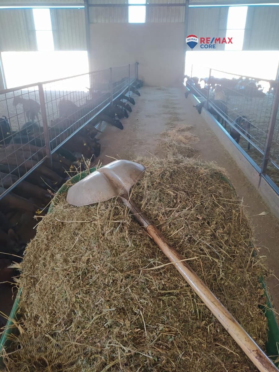 Terreno/Finca Rústica en Brozas en venta - 290.000 € (Ref: 9474198)