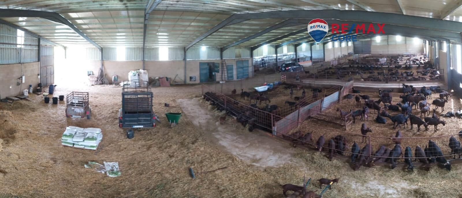 Terreno/Finca Rústica en Brozas en venta - 290.000 € (Ref: 9474198)